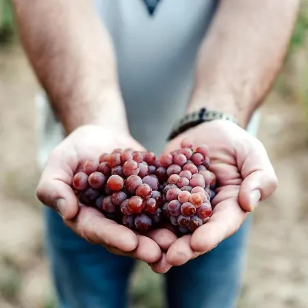 Slow Living - Perfect Vacation شقة