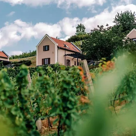 Slow Living - Perfect Vacation شقة