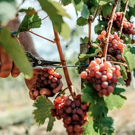 Slow Living - Perfect Vacation شقة