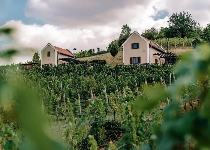 Slow Living - Perfect Vacation Apartament Somloszolos